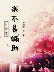 斗罗之我不是辅助的