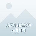 我的女皇上司女主角